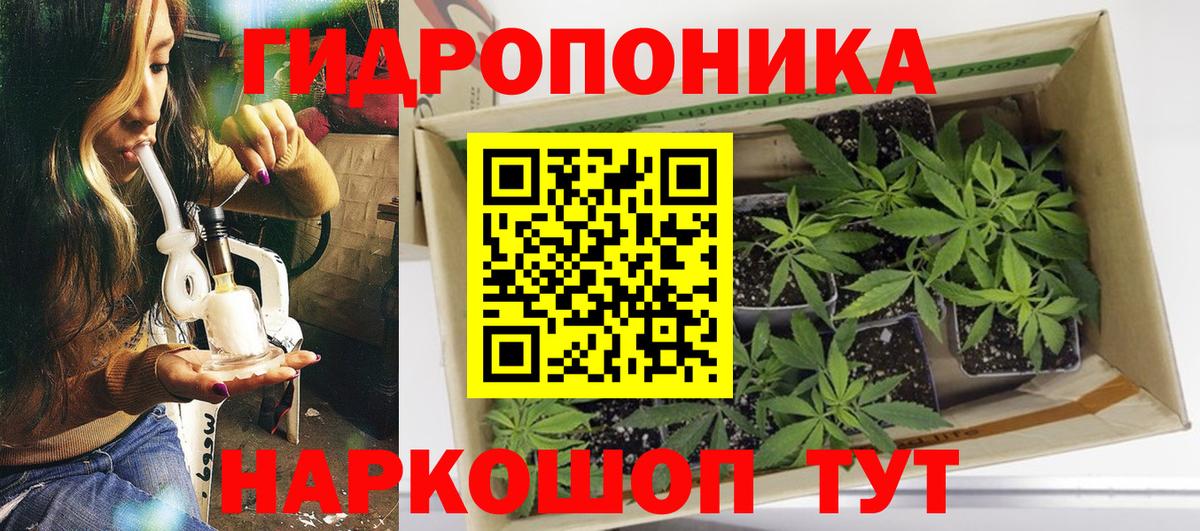 Марихуана SATIVA & INDICA Новозыбков